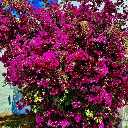 Solar Do Monte 5 Apartament Albufeira