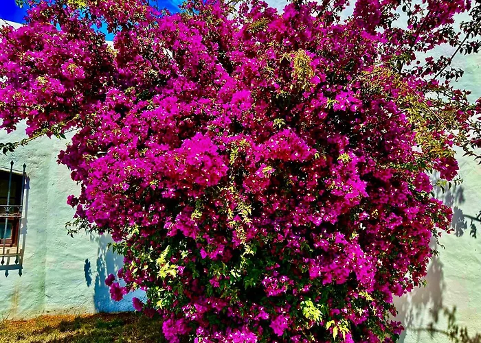 Solar Do Monte 5 Apartment Albufeira